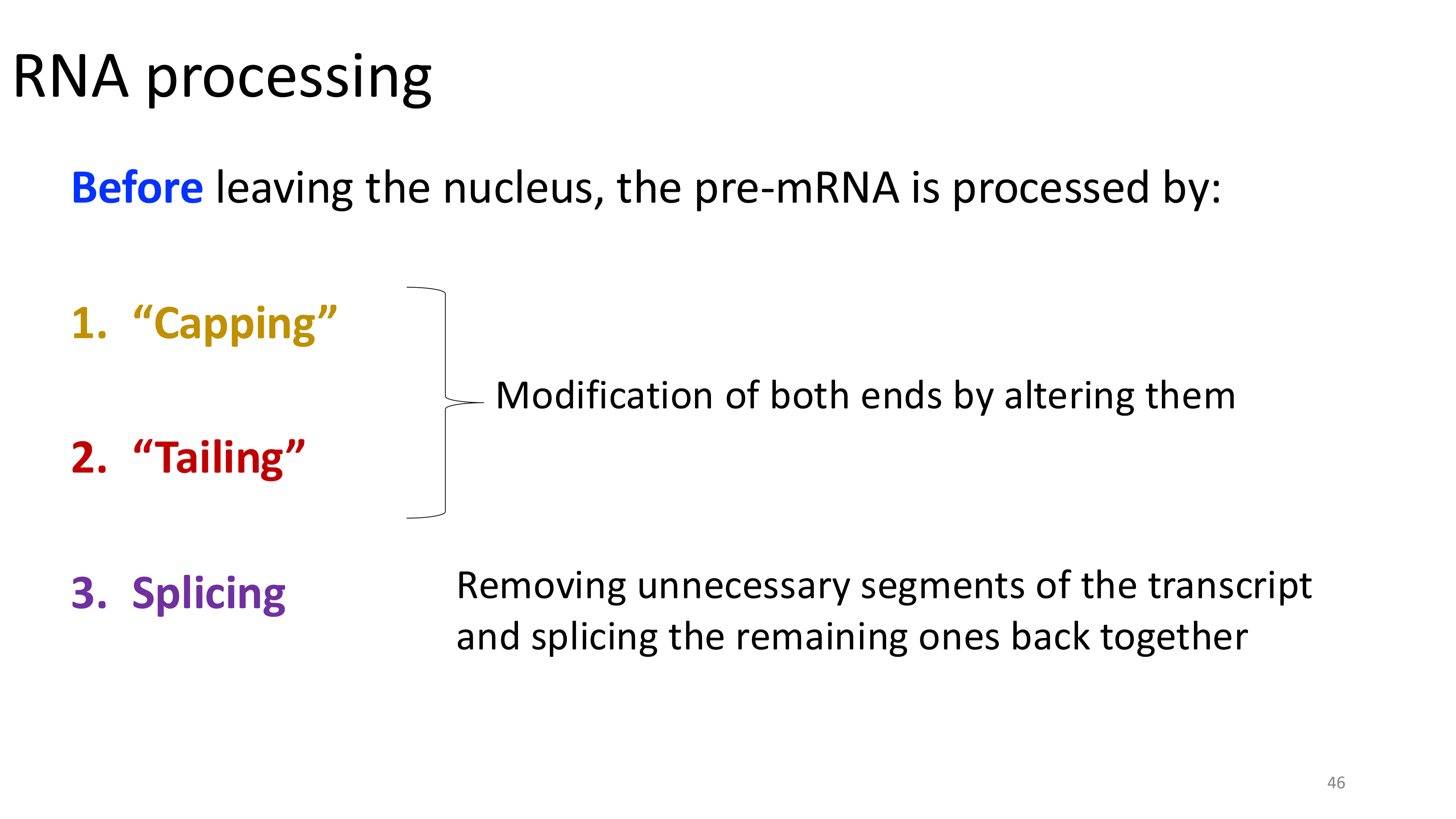 <p>only happens in eukaryotes</p>
