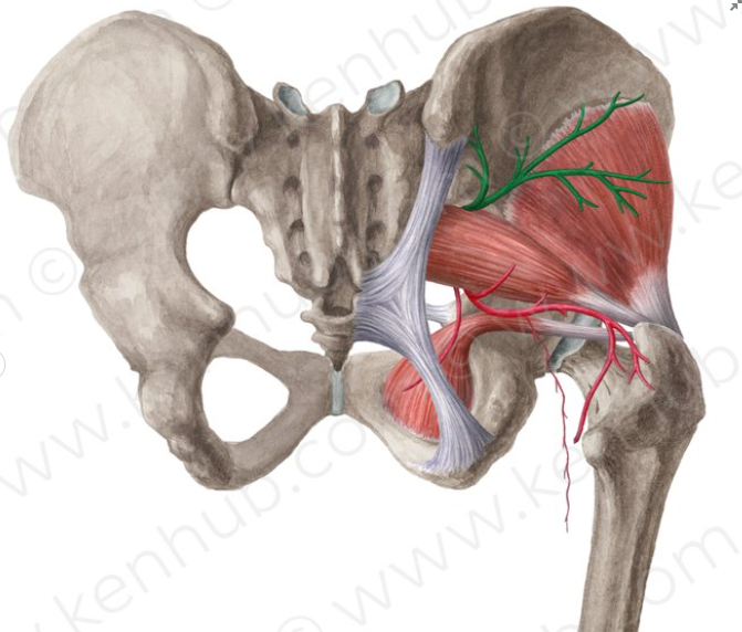 term image