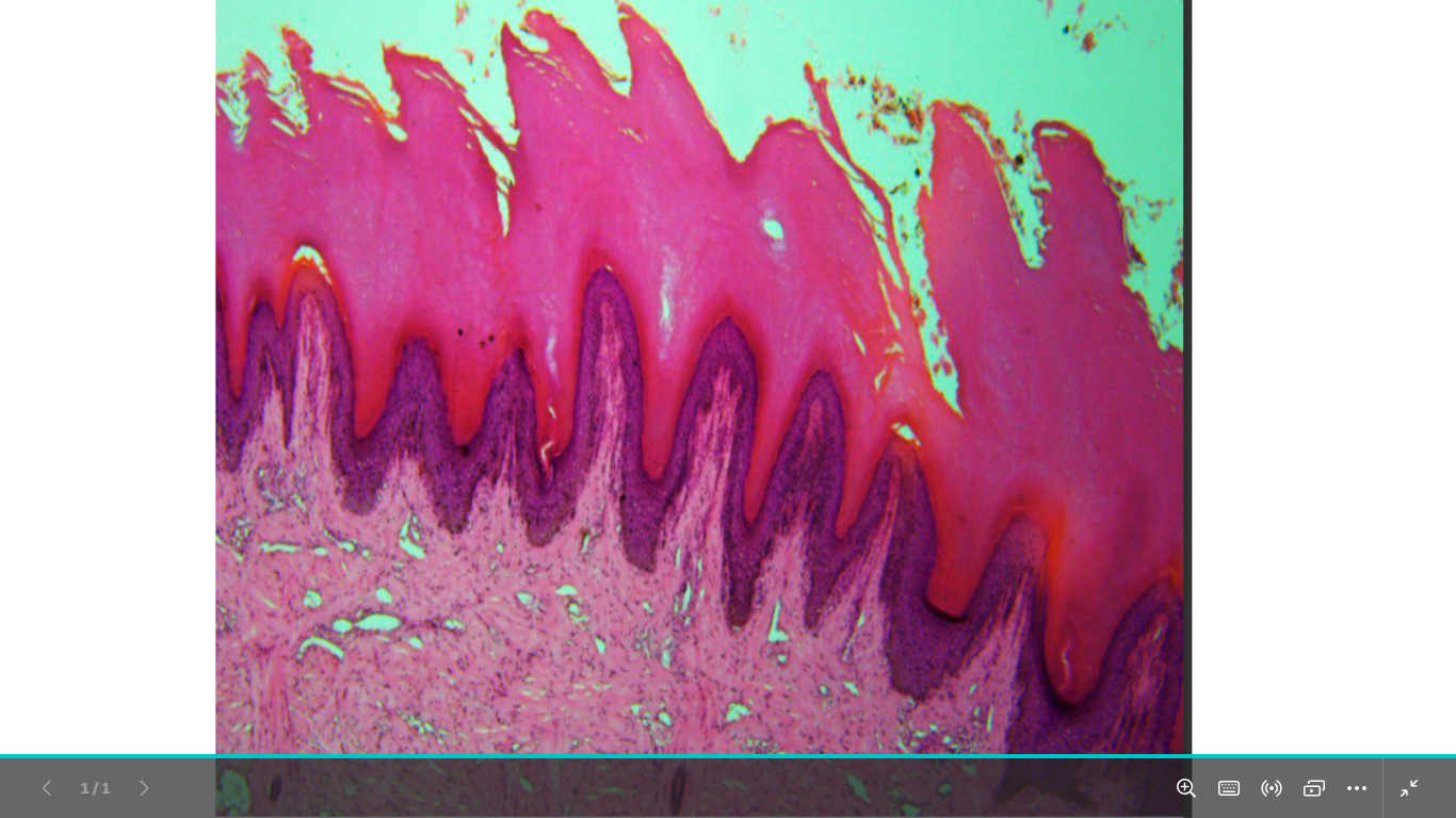 <p>identify</p><p>mention one site </p>