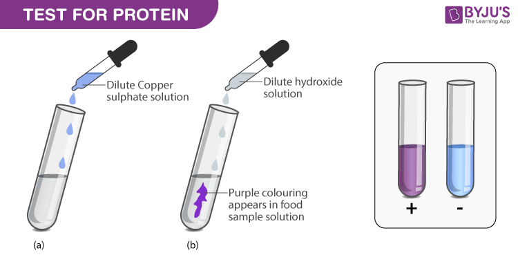 <p>Detects peptide bonds.</p><ul><li><p>Equal volumes of test solution and sodium hydroxide.</p></li><li><p>Add few drops of dilute copper (II) sulfate.</p></li><li><p>Positive - solution will turn purple.</p></li></ul>