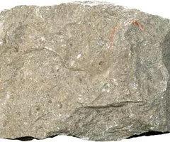 <p>sedimentary, dominant mineral is dolomite. fine texture, fizzes with diluted HCl only as a powder or when heated.</p>