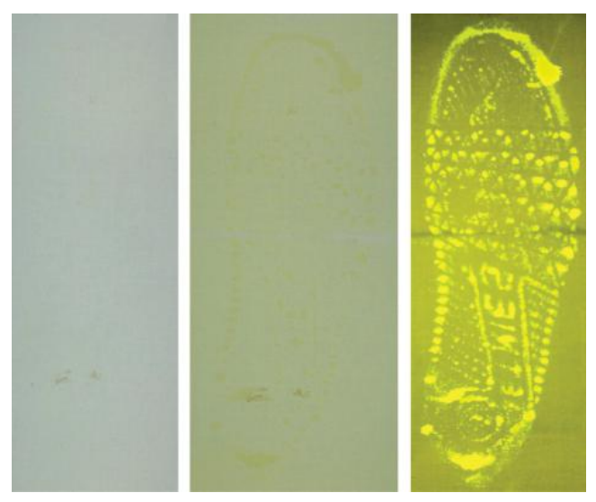 Fluorometric DMAC enhancement of a footwear impression in urine on white cotton fabric. 