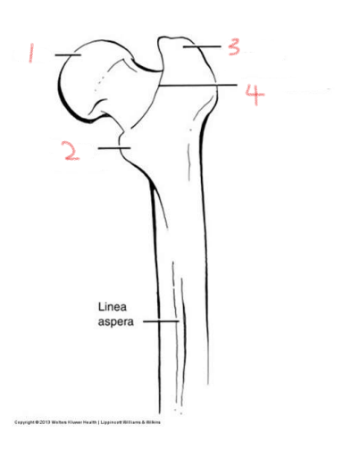 <p>2</p>