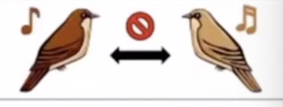 <ul><li><p>occurs when two species have different courtship behaviours</p></li><li><p>certain groups of birds will only respond to species-specific mating calls</p></li></ul>