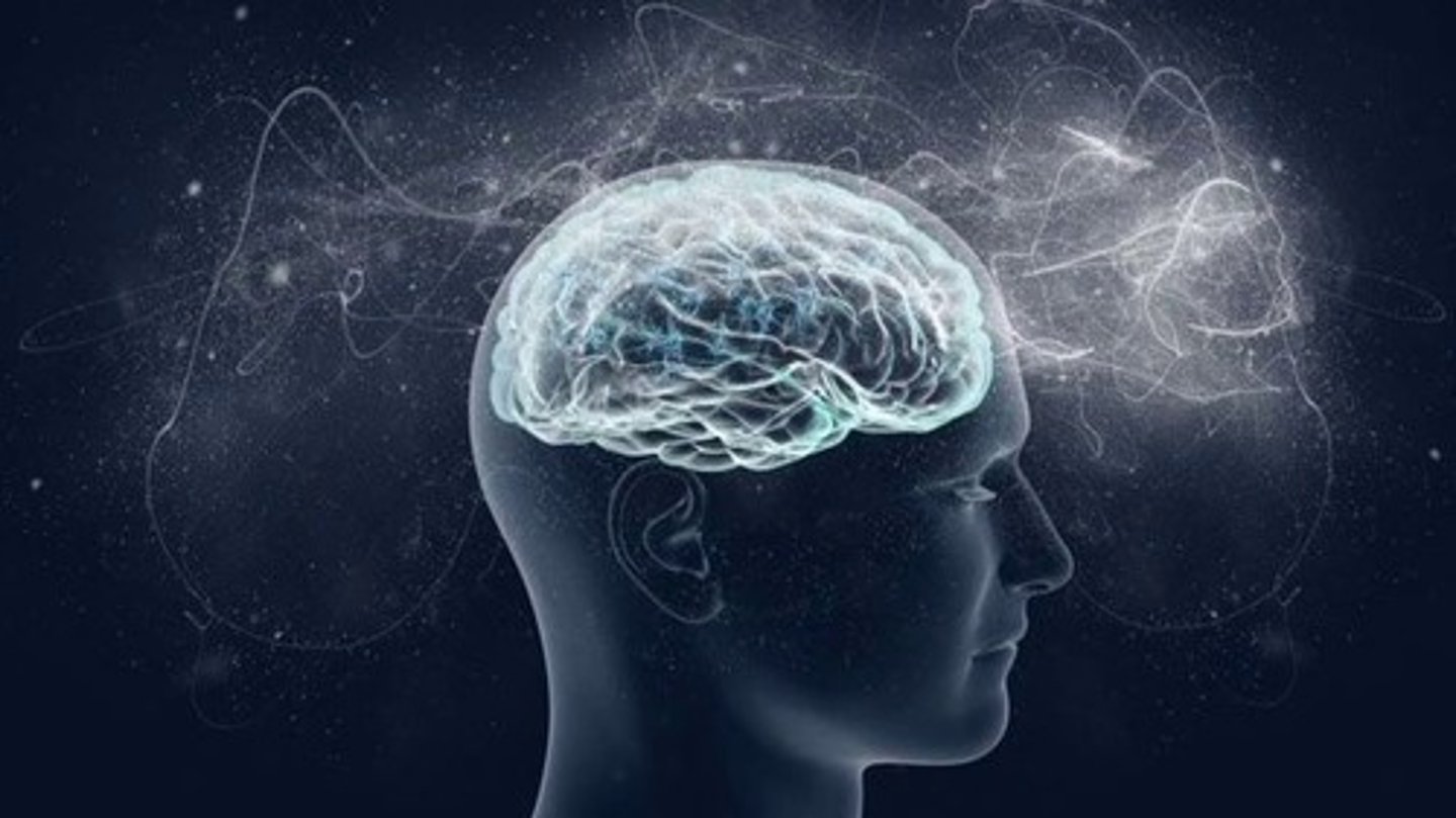 <p>Panpsychism</p>