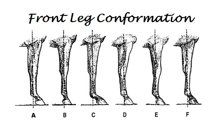 <p>what is wrong with C</p>