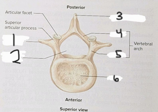 <p>What is structure #5?</p>