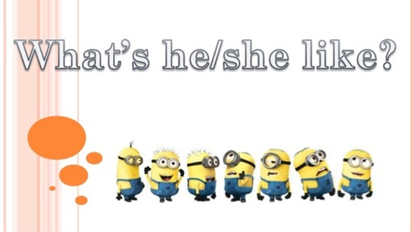 <p>What is __ like?</p>