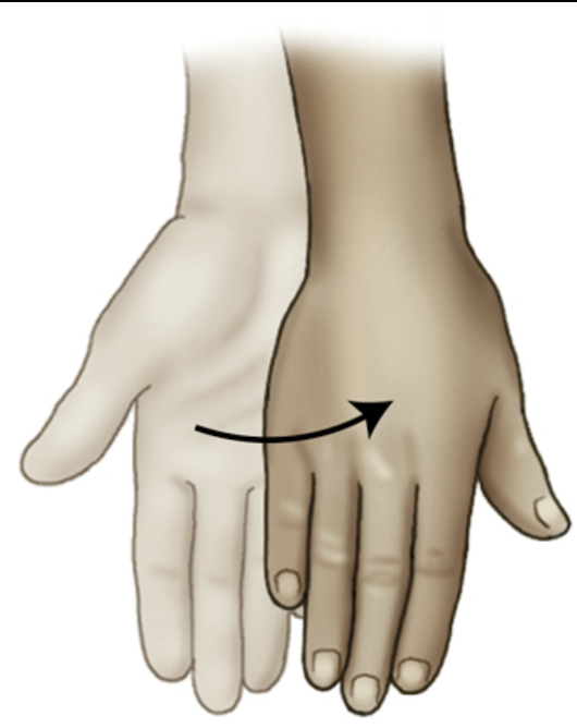 <p>rotation of the forearm so the palm is down</p>