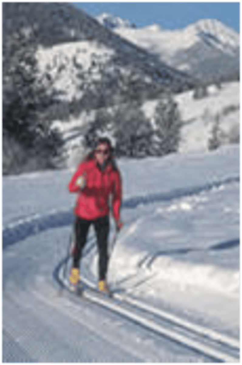 <p>the downhill skier</p>