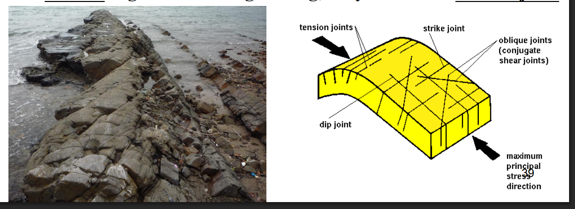 <p>In <strong>sedimentary rocks</strong>, joints usually form due to <strong>stress release</strong>, <strong>burial and uplift</strong>, or <strong>folding</strong>.<br>Common types include:</p><ul><li><p><strong>Strike joints</strong> – parallel to the rock layers’ strike.</p></li><li><p><strong>Dip joints</strong> – parallel to the dip direction.</p></li><li><p><strong>Tension joints</strong> – form at fold crests where stretching occurs.</p></li></ul><p>These joints are typically <strong>perpendicular or oblique to bedding planes</strong> and form <strong>without displacement</strong>.</p>