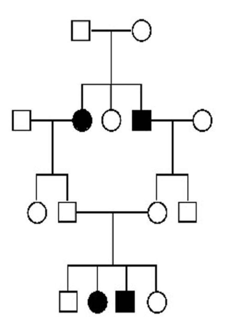 * rare *(NOTE: assume people entering into these families are NOT carriers (must be homozygous dominant for trait) UNLESS otherwise stated in question)* 
* males and females equally affected (autosomal) 
* unaffected individuals have affected children (recessive) 
* skips generations (recessive) 
* becomes more common with inbreeding (recessive) 