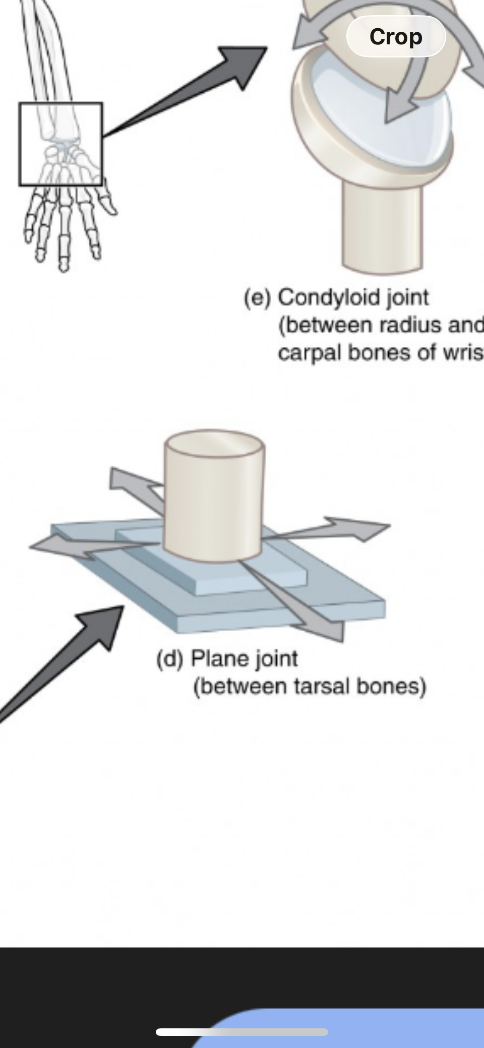 <p>Plane Joint</p>