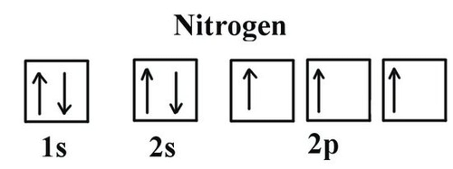 <p>electrons occupy orbitals of the same energy in a way that makes the number of electrons with the same spin direction as large as possible</p>