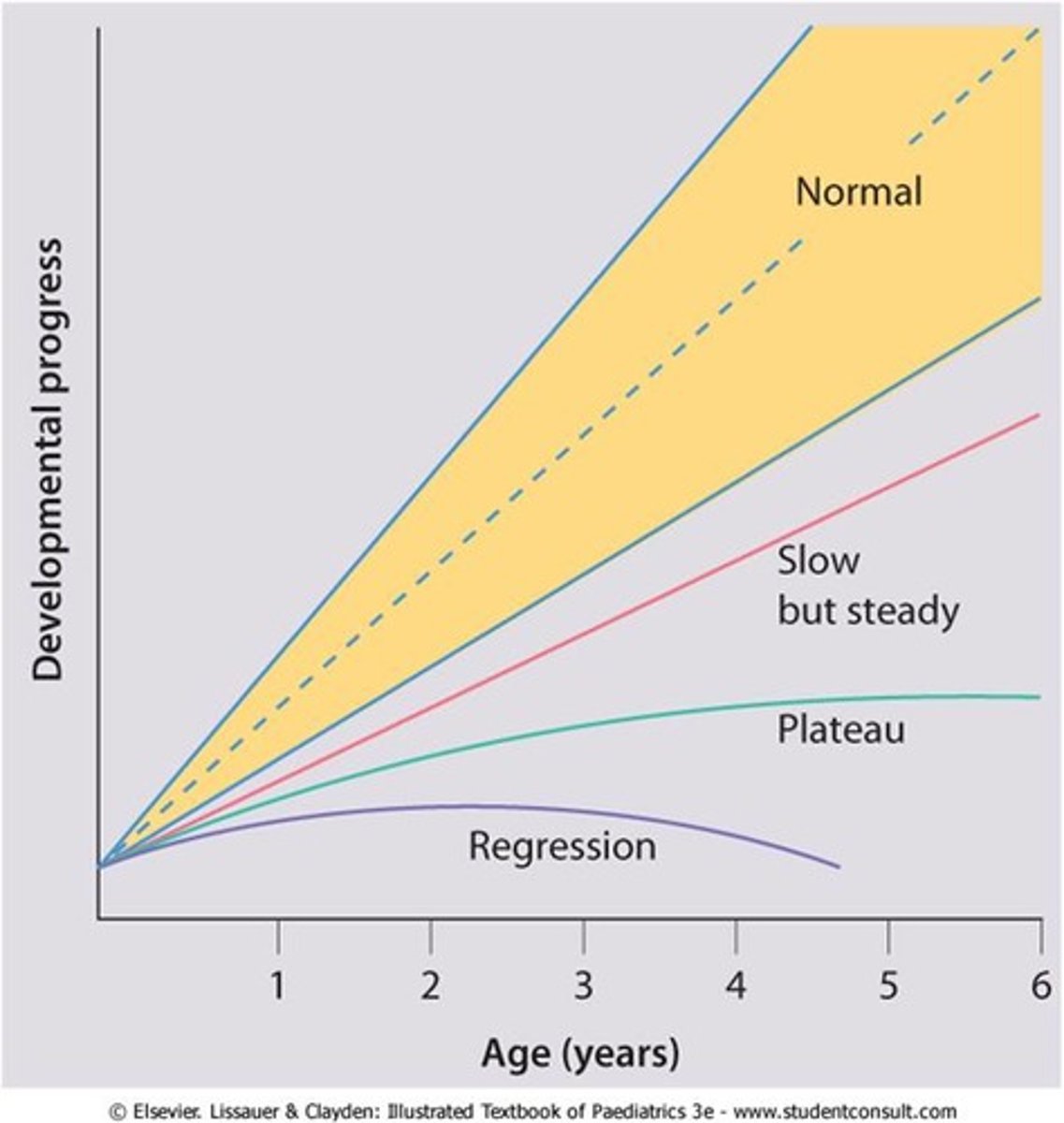 <p>The curve plotted in describing developmental change</p>