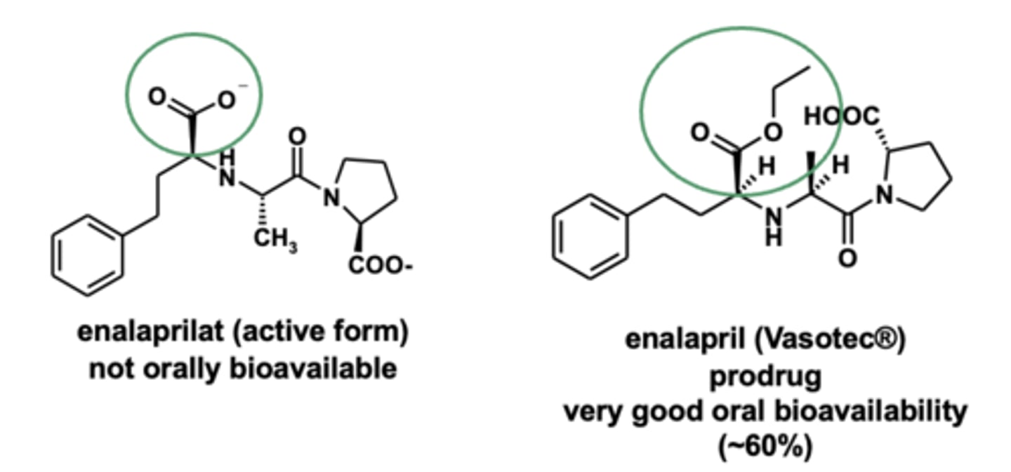 <p>- enalaprilat not orally BA</p><p>- <strong>enalapril has good oral BA (60%)</strong> </p>