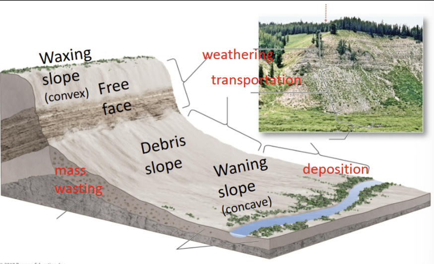 <p>Mass wasting</p>