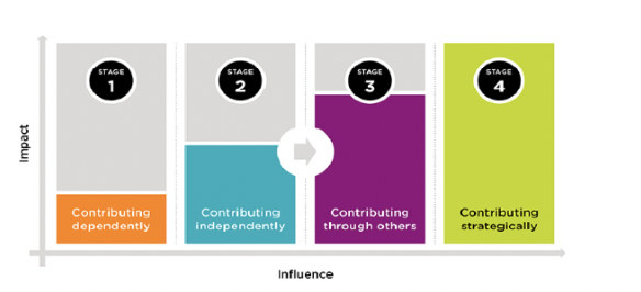 four stages:
1. contributing dependently
2. contributing independently
3. contributing through others
4. contributing strategically
