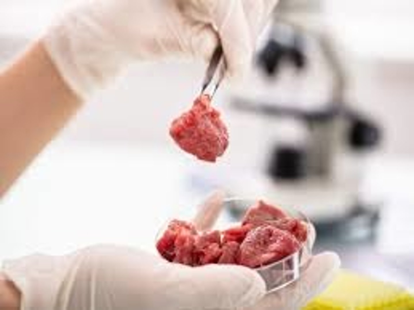 <p>(mięso hodowane komórkowo) - Meat grown from animal cells in a laboratory</p>
