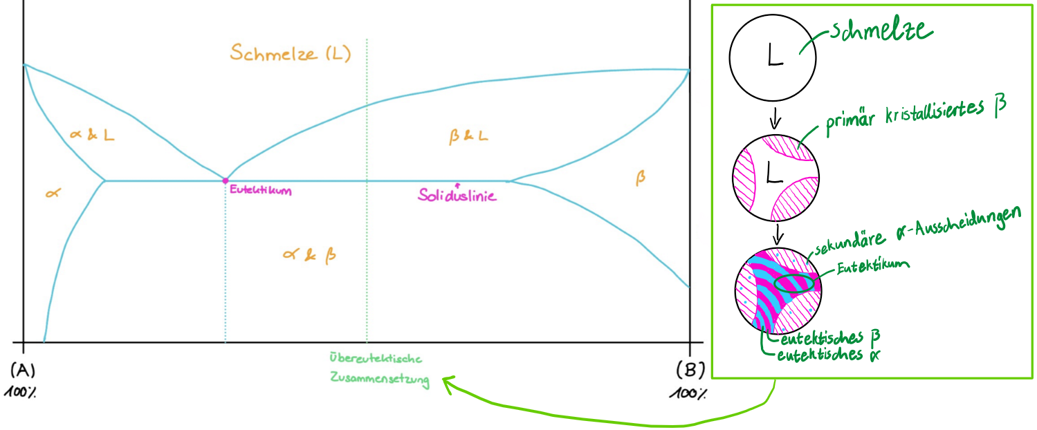 <p>hypereutektische Zusammensetzung = oberhalb des eutektischen Punktes</p><p>Eutektikum = Es ist das Phasengemisch, das entsteht, wenn die Restschmelze die eutektische Temperatur unterschreitet.</p><p><em>Die Mikrostruktur besteht aus primärer β-Phase, eutektischem α+β-Gefüge (sowie sekundären α-Ausscheidungen in der β-Phase aufgrund der überschrittenen Löslichkeitsgrenze von A in β).</em></p>