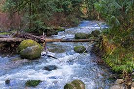 <p>stream</p>