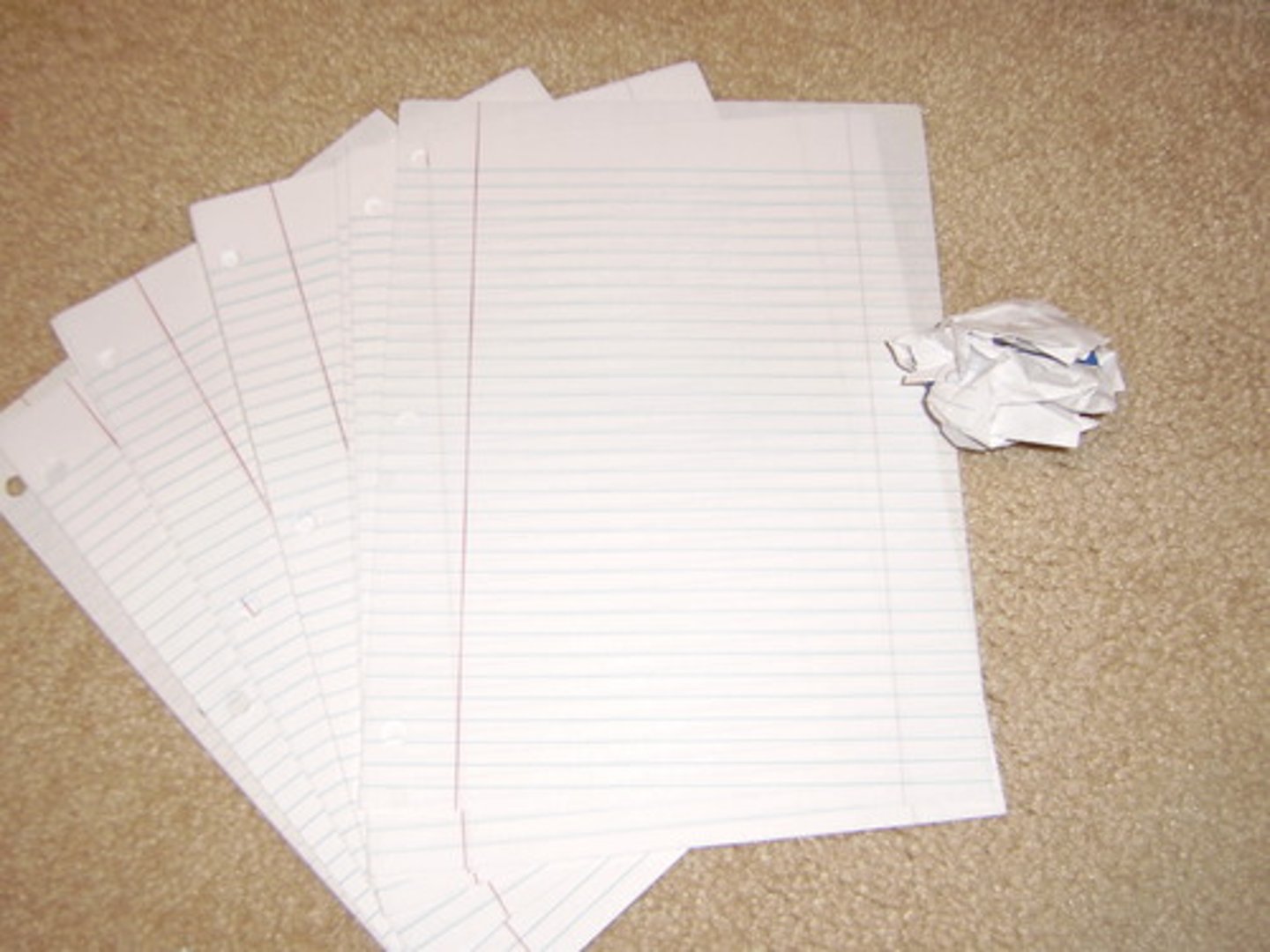 <p>a piece of paper</p>