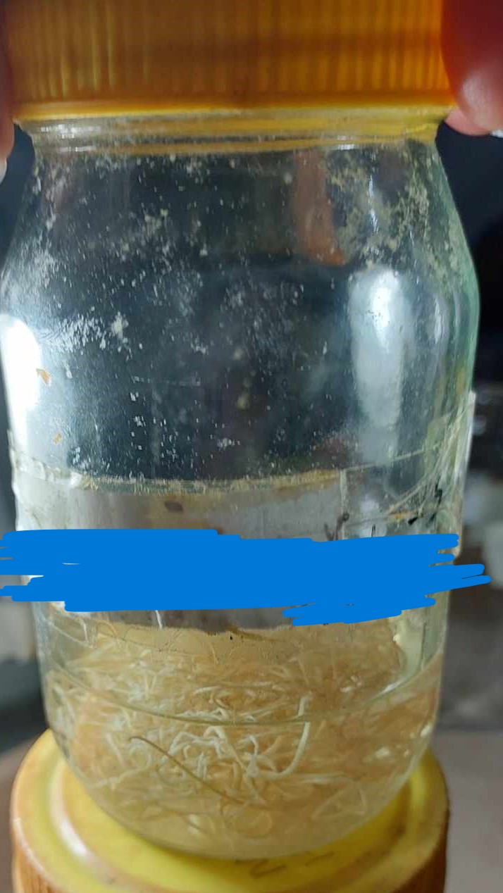 <p>Additional information on this worm</p>