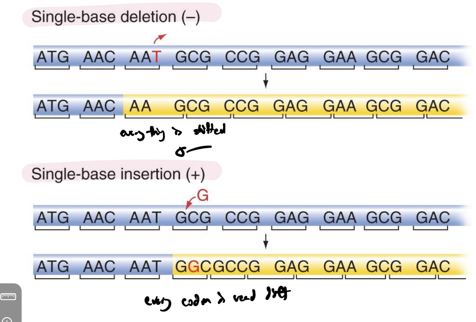 <p>mutations that change the reading frame of rna from then-on</p><ul><li><p>changes AA sequence</p></li></ul><p></p><p>eg deletion and insertion</p>