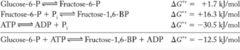 fructose-6-P