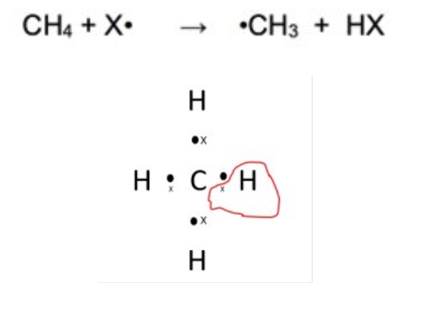 <ul><li><p>the halogen radical reacts with the alkane </p></li><li><p>the radical removes a hydrogen from the alkane creating a hydrogen halide molecule </p></li><li><p>the alkane is left as an alkyl radical </p></li></ul><p>CH₄ + X• → •CH₃ + HX</p>