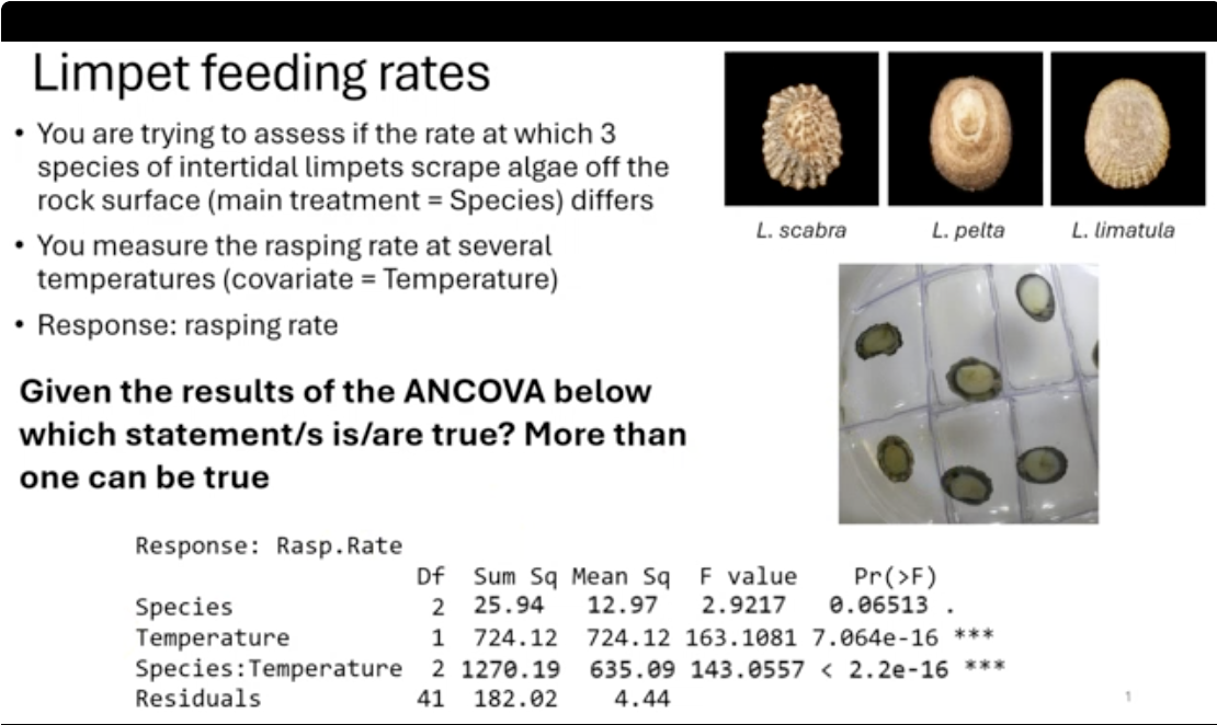 <p>Null hypothesis (ANCOVA) is that all the group means of the treatment (Species) are the same, once you take the covariate (Temperature) into account</p><p></p><p>The interaction between Species and Temperature is NOT significant for a p=0.05. This indicates that the slopes for each species vs. temperature are homogeneous</p><p>&nbsp;</p><p>Based on the output you cannot use ANCOVA</p><p>&nbsp;</p><p>Based on the results you do not know which Species differ from each other in their rasping rate using a p=0.05</p>