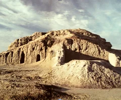 term image