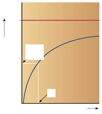 <p>fill in the blanks for Michaelis-Menten Enzyme Kinetics graph</p>
