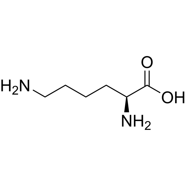 <p>Amino Acid?</p>