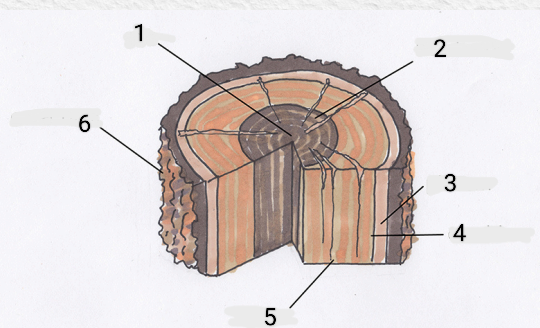 <p>Identify the parts </p>