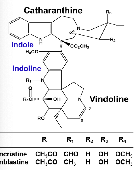 <p>What is the MOA of vinblastine?</p>
