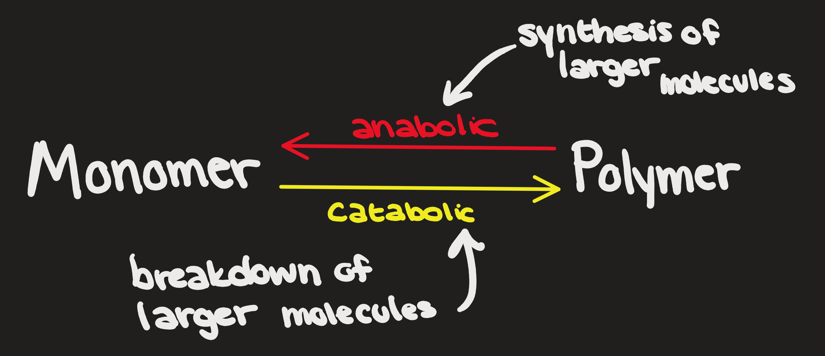 Monomers and Polymers