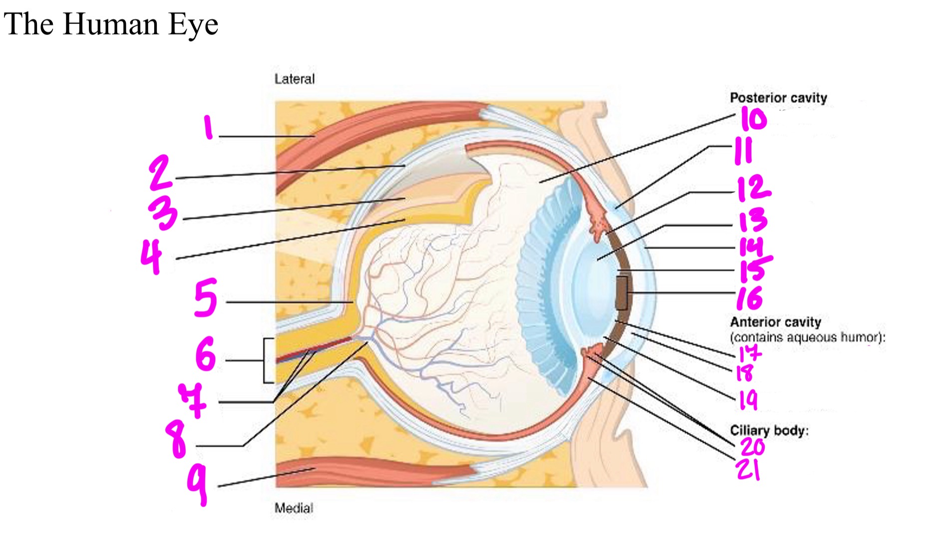 <ol><li><p></p></li><li><p></p></li><li><p></p></li><li><p></p></li><li><p></p></li><li><p></p></li><li><p></p></li><li><p></p></li><li><p></p></li><li><p></p></li><li><p></p></li><li><p></p></li><li><p></p></li><li><p></p></li><li><p></p></li><li><p></p></li><li><p></p></li><li><p></p></li><li><p></p></li><li><p></p></li><li><p></p></li></ol>