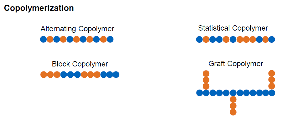 <ul><li><p>Alternating Copolymer</p></li><li><p>Statistical Copolymer</p></li><li><p>Block Copolymer</p></li><li><p>Graft Copolymer</p></li></ul><p></p>