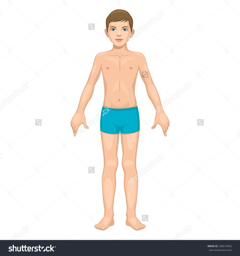 body