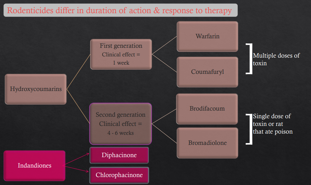 <p>Hydroxycoumarins</p><ul><li><p>First gen - 1 wk to take effect (Multiple doses needed)</p><ul><li><p>Warfarin</p></li><li><p>Coumafuryl</p></li></ul></li><li><p>2nd gen - 4-6wks to take effect (Single dose or eat rat that ate poison)</p><ul><li><p>Brodifacoum</p></li><li><p>Bromadiolone</p></li></ul></li></ul><p></p><p>Indandiones</p><ul><li><p>Similar to 2nd gen</p></li><li><p>Diphacinone and Chlorophacinone</p></li></ul><p></p>