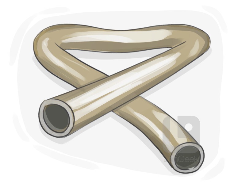 <p><strong>Shaped like a tube</strong> — long, round, and hollow inside.</p><p></p>