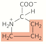 <p>Nonpolar aliphatic</p>