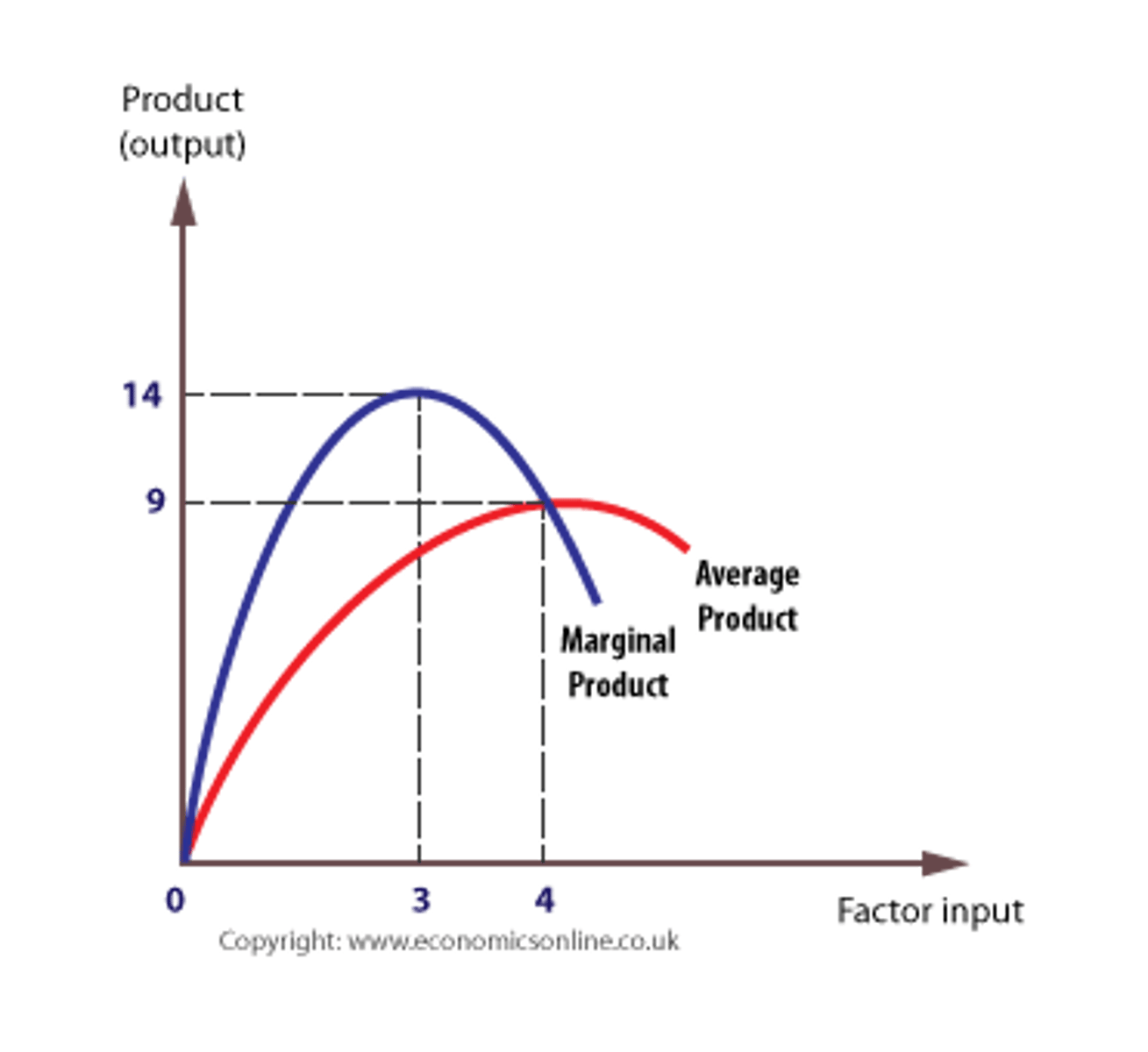 <p>With a small number of workers, output is low and a division of labor cannot be employed, and workers cannot specialize or develop new skills. However, marginal returns increase quickly as specialization occurs and efficiency increases. This creates the opportunity for labor to develop skills and become more productive.</p><p>Eventually, marginal returns diminish as the effects of specialization and new skills wear off. This pattern has a considerable impact on the firm's short-run cost curves.</p>