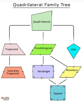 <p>Quadrilateral Family Tree</p>