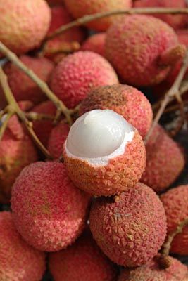 <p>Lychee</p>