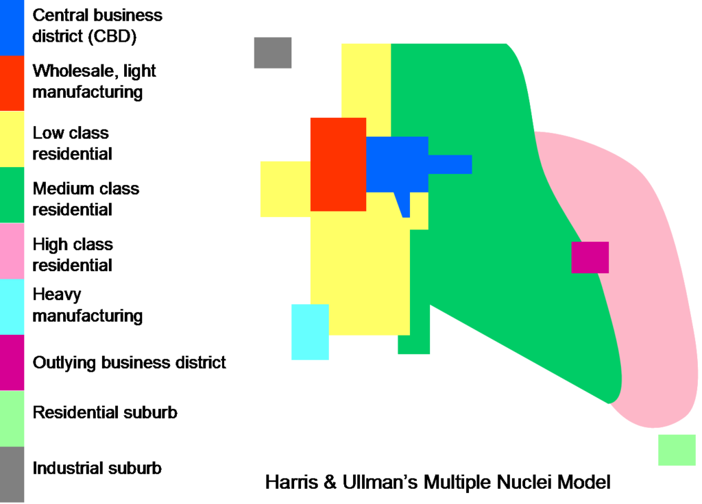 <p><span><span>cities do not grow around a single central business district (CBD) but rather develop multiple, specialized, independent nodes (nuclei) or centers</span></span></p><p></p><p></p>