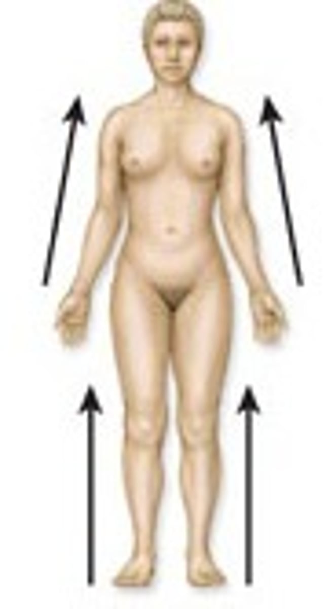 <p>closer to the point of attachment or origin</p>