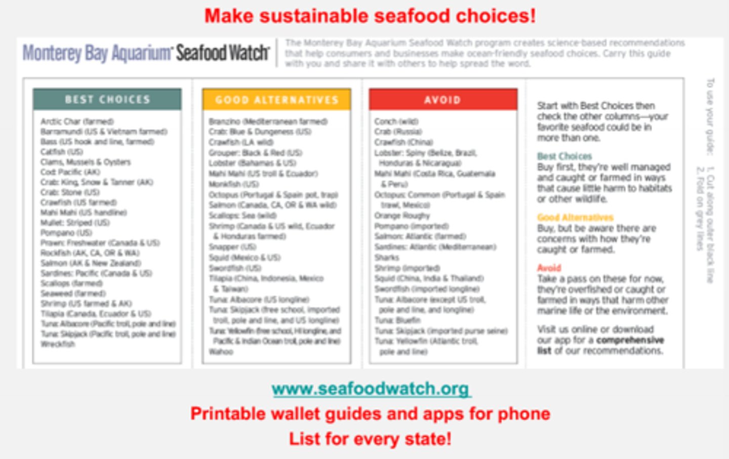 <p>- The best example of non-sustianble food choices are sharks, as many species have long life histories and are slow to reproduce</p><p>- Some fisheries can also be unsustainable</p>