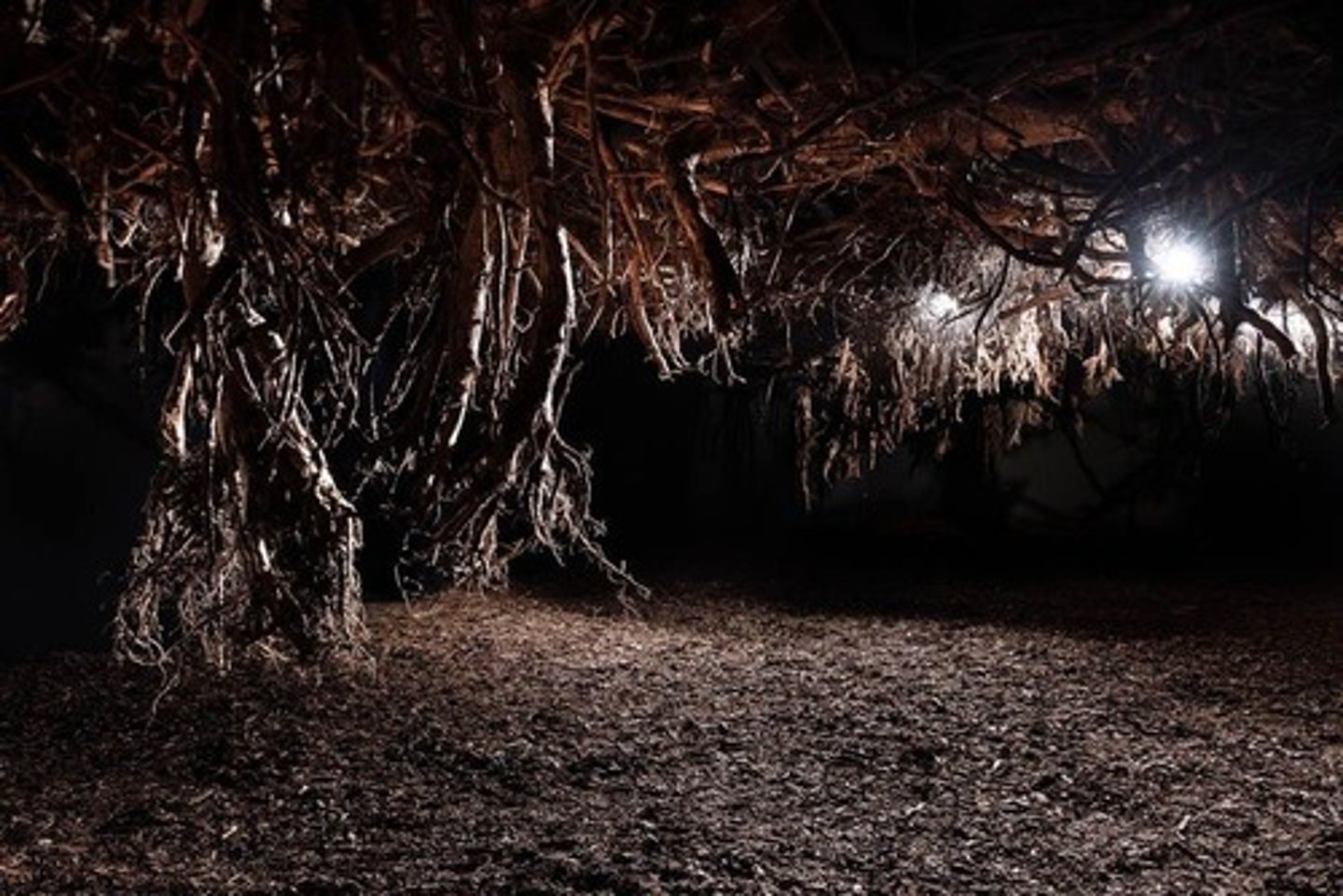 <p>instalacja</p>